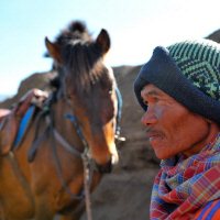 Paarden bij Bromo